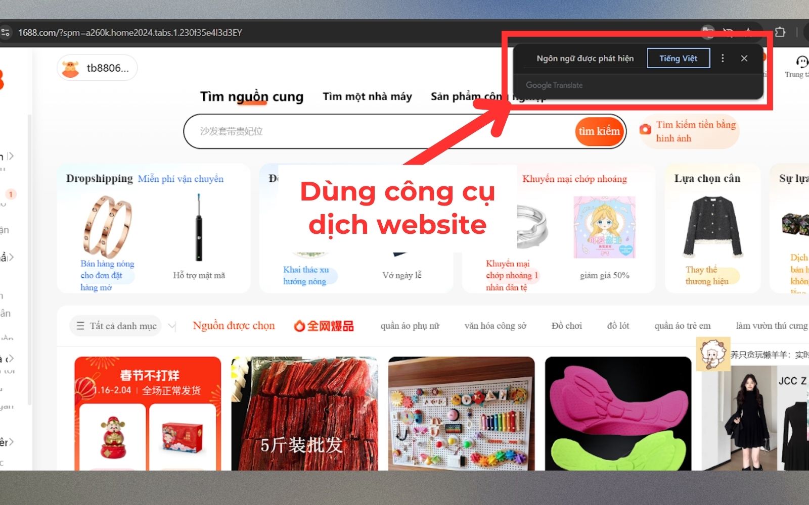 Dịch trang 1688 sang tiếng Việt​ trực tiếp trên website