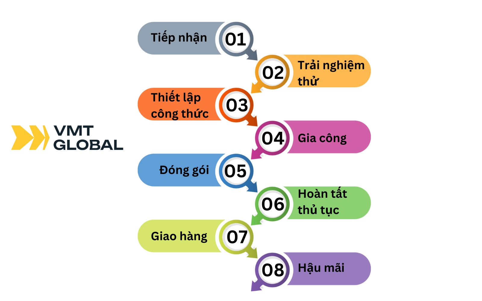 Các bước trong dịch vụ gia công xịt côn trùng tại VMT Global