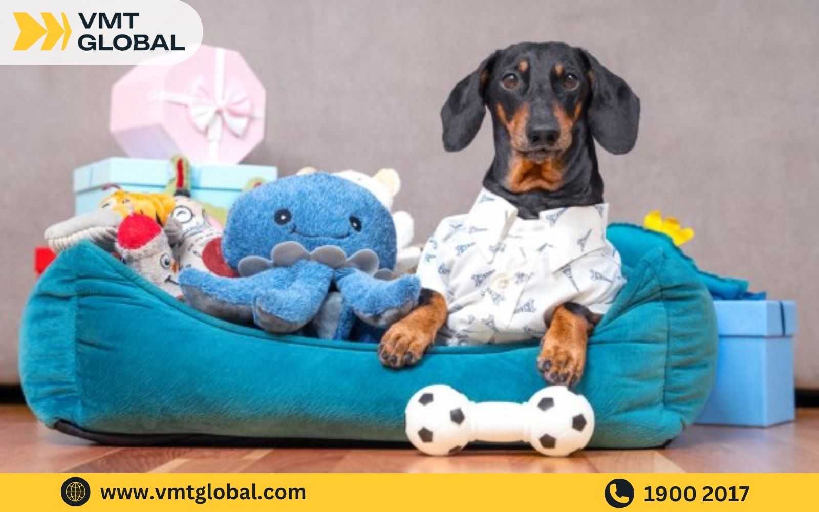 Các sản phẩm dành cho thú cưng rất hot trên Alibaba Các sản phẩm dành cho thú cưng rất hot trên Alibaba