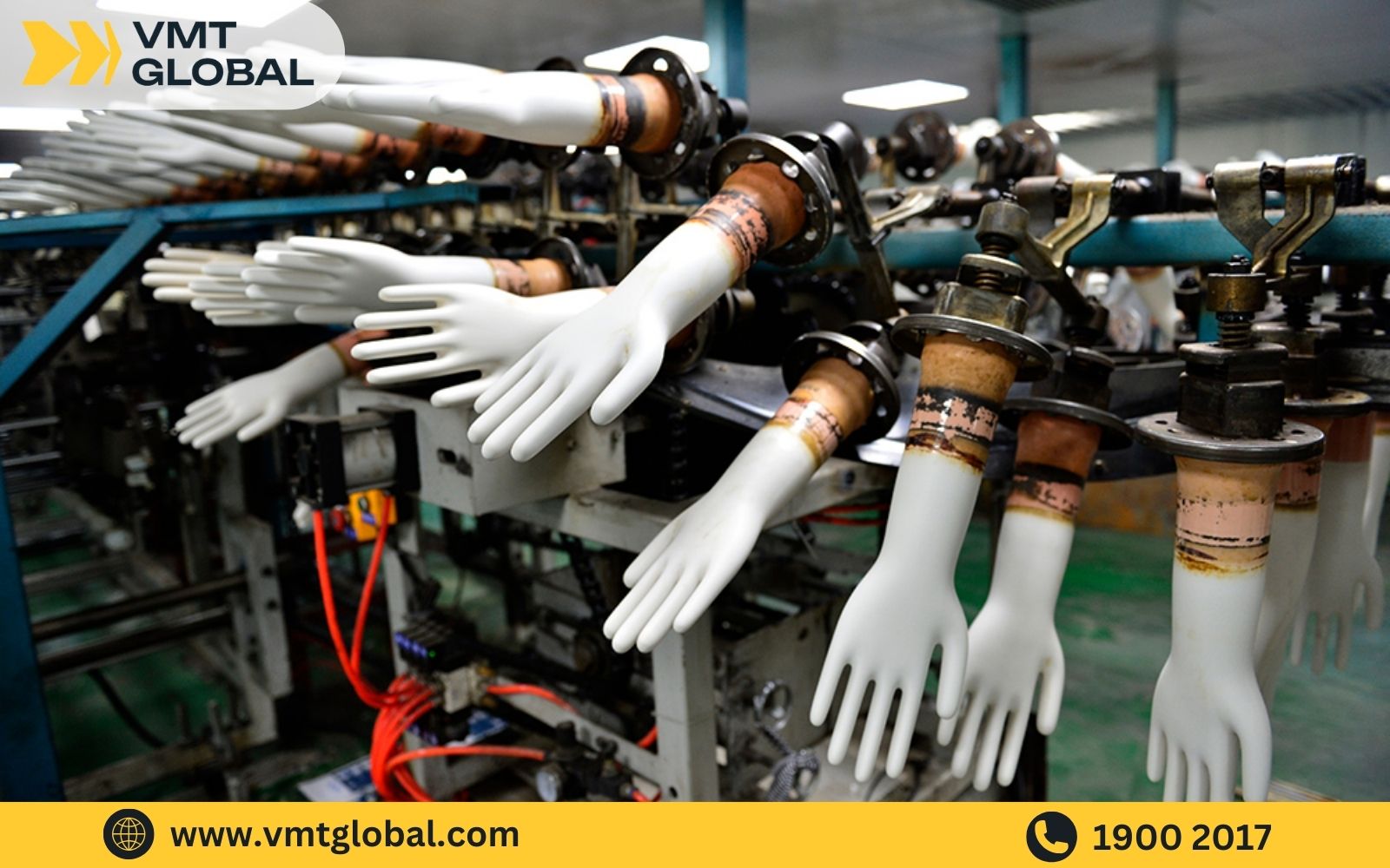 Quy trình sản xuất găng tay dùng 1 lần OEM tại VMT Global