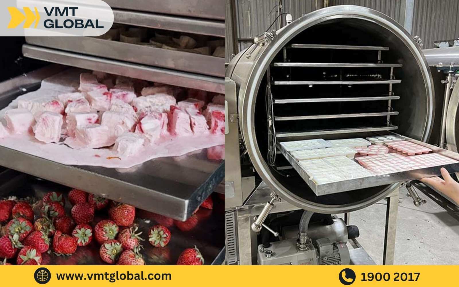 Hình thức nhập sữa chua sấy khô từ các xưởng sản xuất Trung Quốc